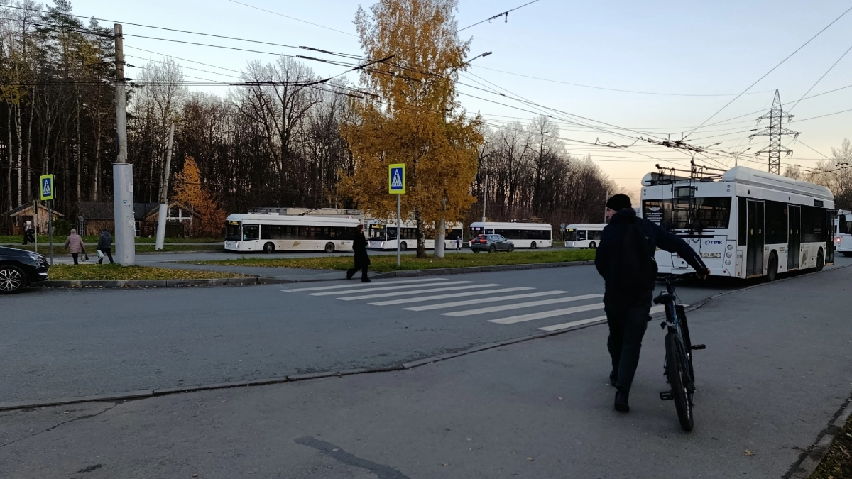 Нужно ли уступать пешеходу, который идет на встречной полосе: ГИБДД поставила точку