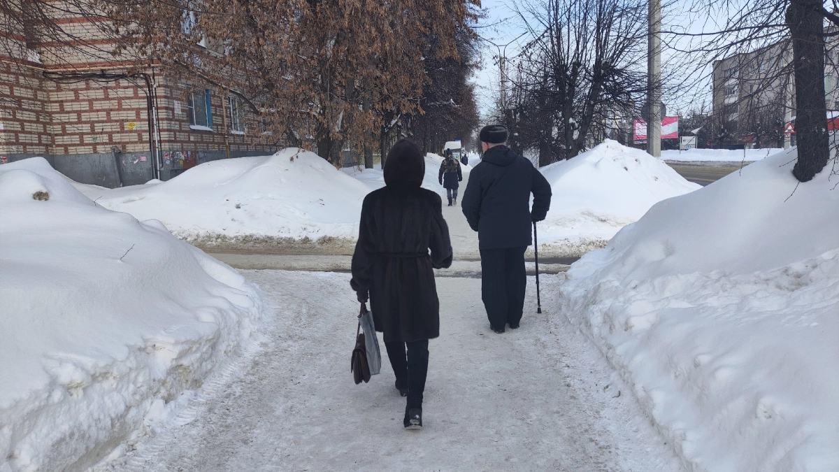 Зима-перевёртыш: сначала оттепель, а потом −20 °C за сутки — чего ждать и к чему готовиться