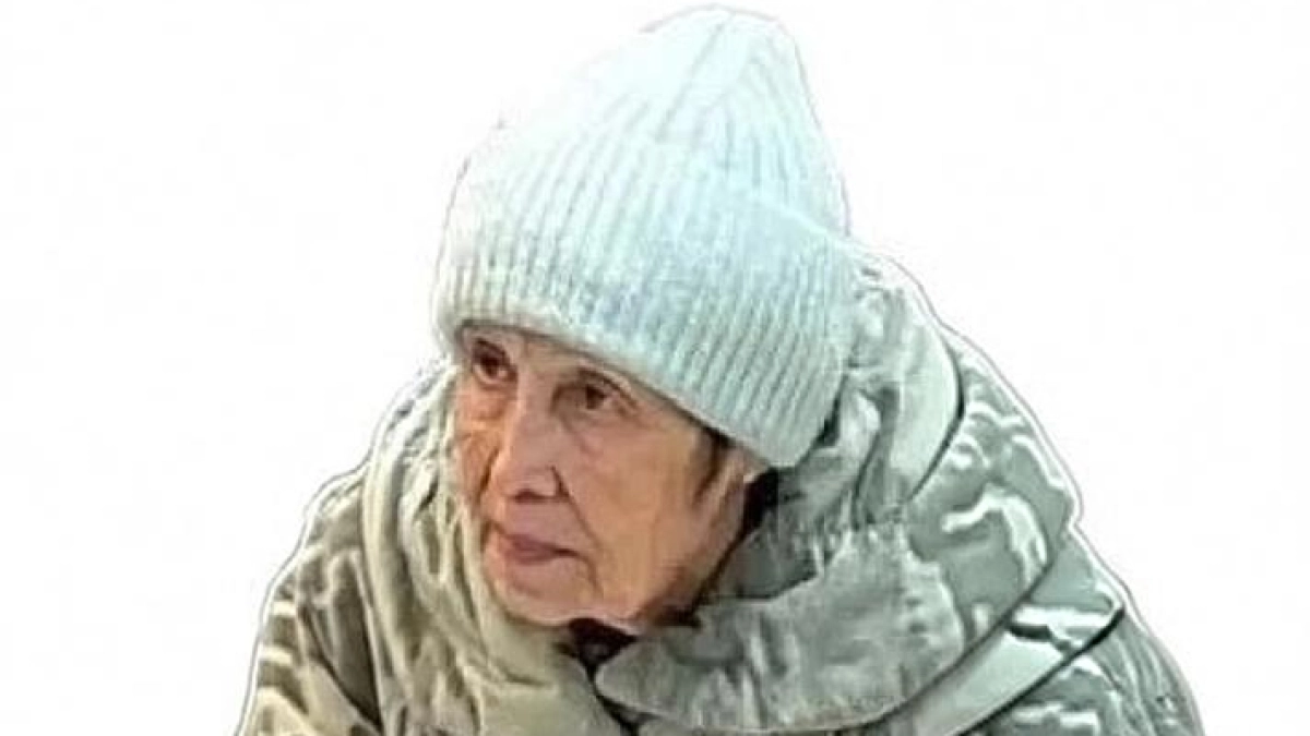 В Екатеринбурге ищут 73-летнюю женщину, пропавшую после ухода сына