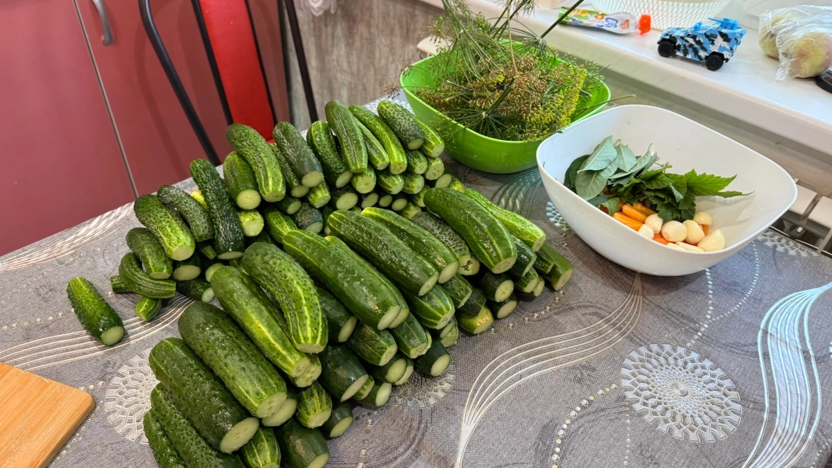 Режу огурцы и закладываю в банку: вкуснее корнишонов, пикантнее берлинских