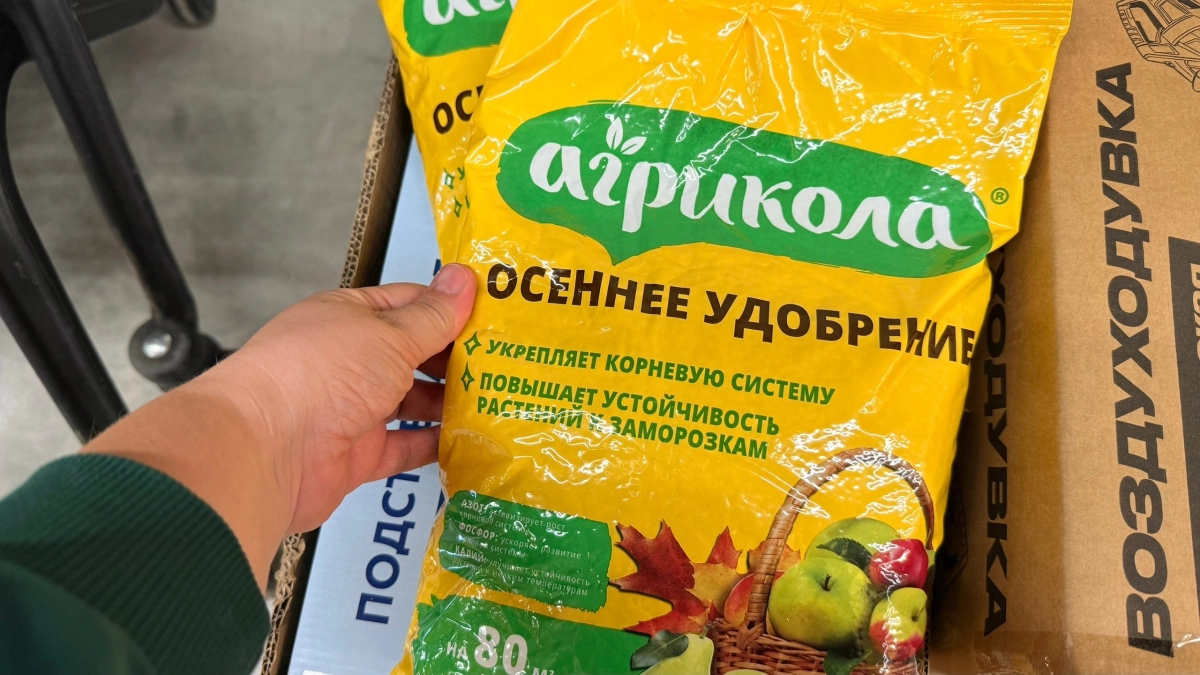 Дачники потирают руки: нашла мощное осеннее удобрение в Чижике за копейки вместо дорогих смесей
