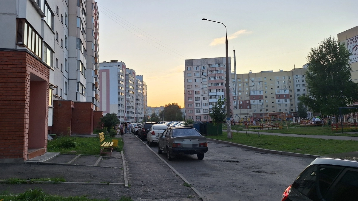 Не паркуйтесь под этими деревьями: ремонт кузова обойдется в целое состояние — соседи молчат об этом