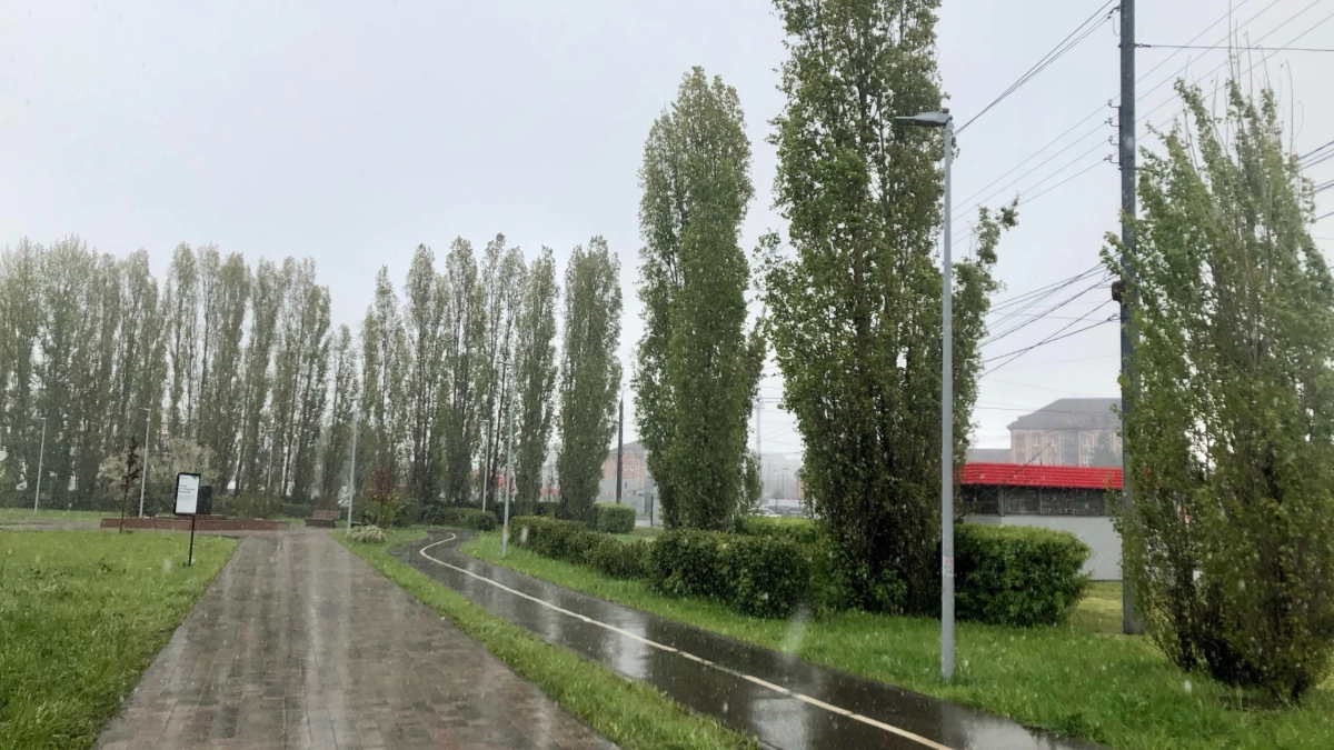Скверу в Железнодорожном районе Екатеринбурга присвоили имя Геннадия Попова