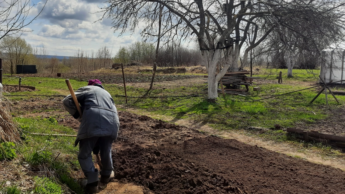 Ни лопат, ни тяпок, ни грабель: ручная перекопка уходит в прошлое - дачники массово переходят на новый способ 