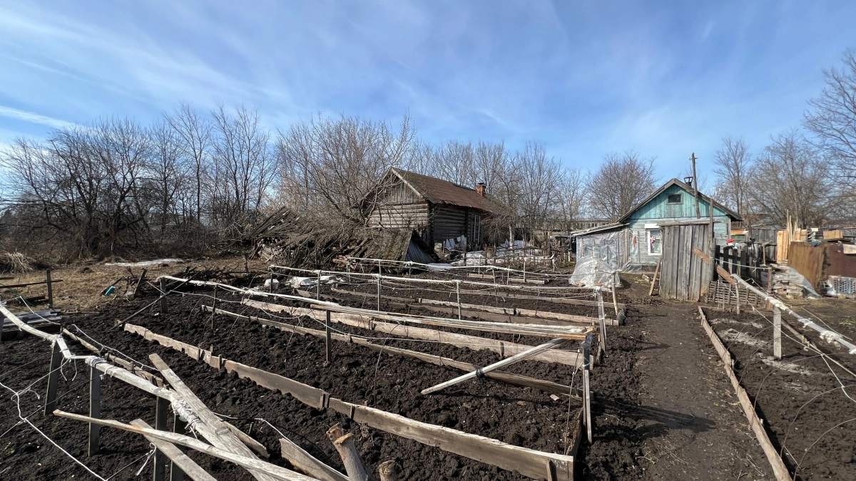 Новые дачные правила огорошили садоводов: сжигать ветки не получится - вот 3 легальных способа избавиться от древесины