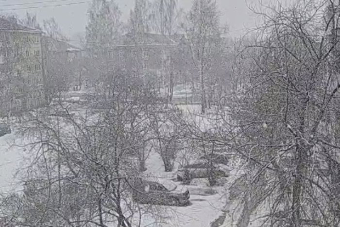  Свердловскую область завалило снегом. Когда закончится метель? 